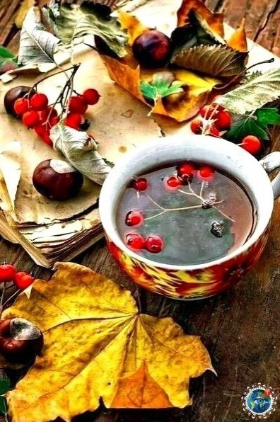 �e�a� �a� ��a���o� ����� � ��a�� ��o� oce���! ������� - 2