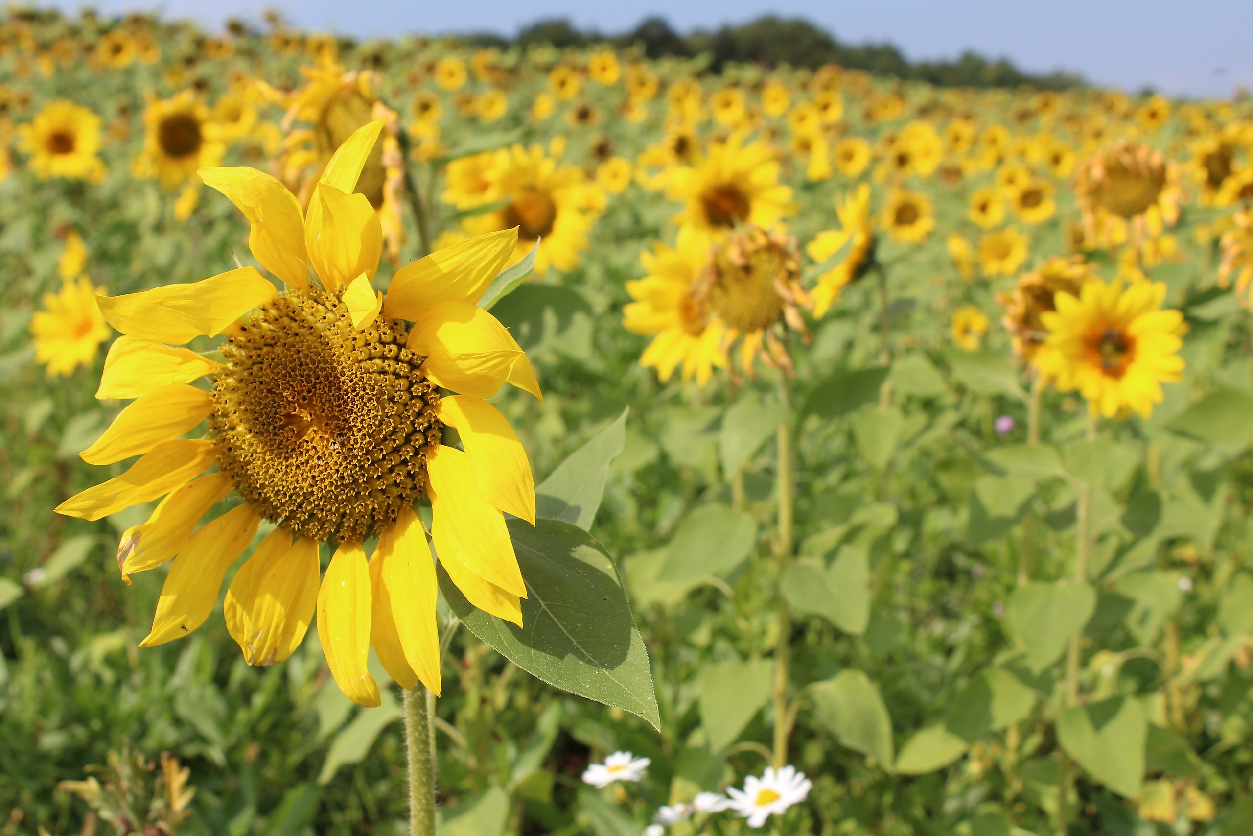 �� ��� � ��!�� ������� ��� ������ � �������!�������� �� ���!2 ���� � ��� ��� ����� ��� �� ����� � ...