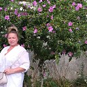 ���� �����, �������, 50 ��� - ��������� 9 �������� 2020 � ������ ���� ����������