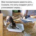 ���� �����, ���������, 41 ��� - ��������� 23 �������� 2020 � ������ ������ ��������