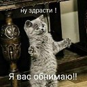 ���� ��������, ���������, 73 ���� - ��������� 23 ������ 2020 � ������ ���� ����������