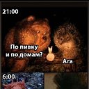 ���� ����, ���������� - ��������� 27 ������� 2020 � ������ ������ ��������