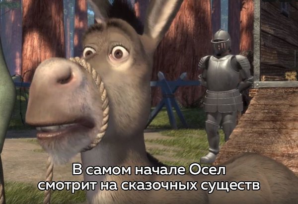 Unforgettable Moments with Shrek and Donkey