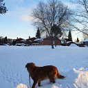 ������ �������� ����� � ������... �� ������� ������ � ������ ������...�