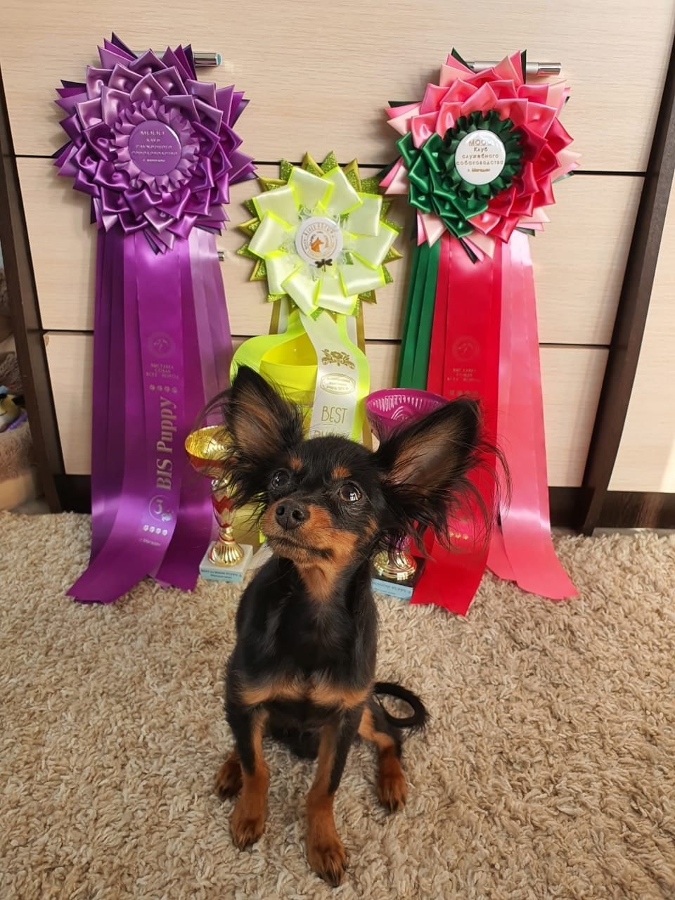 ����� ������� ������� �� �����������, �� �� ������ ������� �����������.��� ���� ���� ...