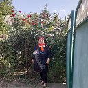 ���� ��������, ������-��-���� - ��������� 20 �������� 2020 � ������ ���� ����������