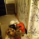 ���� �����, �������, 47 ��� - ��������� 4 ������ 2020 � ������ ��������ܻ