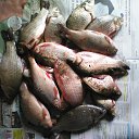 ���� ������� �, �����������, 49 ��� - ��������� 21 ����� 2021 � ������ ���� ����������