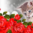 ���� Zinaida, ����������, 77 ��� - ��������� 17 ������� 2021 � ������ ���� ����������