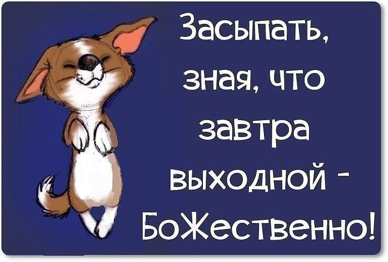   ,    . - 18  2020  22:45 - 5