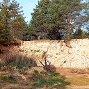 ���� ������, �������, 48 ��� - ��������� 26 �������� 2020 � ������ ���� ����������