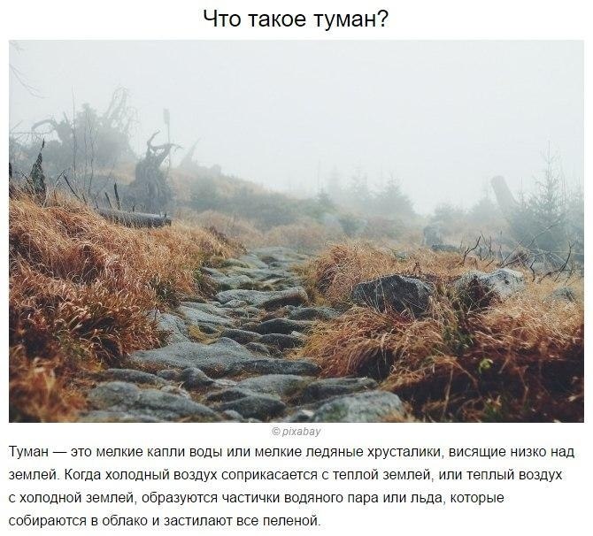 ������ �� ������� ������� ������� �� �����������! - 7