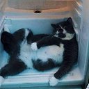 ���� ����, ���������, 75 ��� - ��������� 2 ����� 2021 � ������ ������ ��������