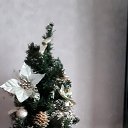 ���� �����, ���������, 62 ���� - ��������� 15 ������� 2020 � ������ ���� ����������