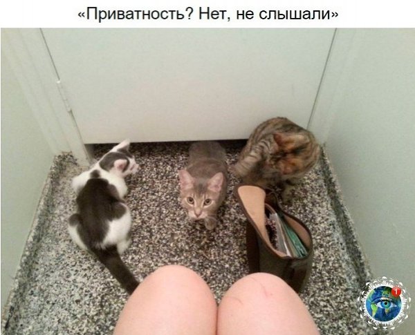 10 p oa e ao oo, o  e e ocaee.)  paa. - 6