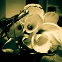 ���� ����, ������ - ��������� 11 ������� 2020