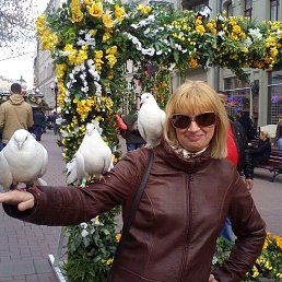 ���, ��������, 52 ����