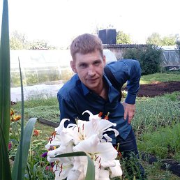 �������, �����, 37 ���