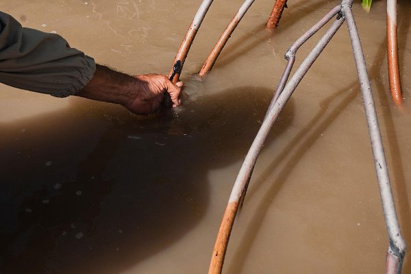 ������������� ���������� � ���������, ������� � ������ �� ������ �� �������� �������������.����� � ... - 2