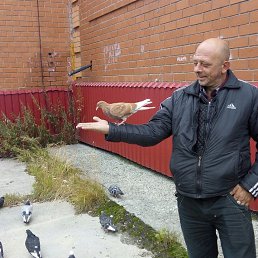 ���������, ��������, 49 ���