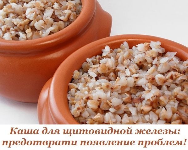 Каша для щитовидной железы: победи проблему и предотврати ее появление! Щитовидная железа – это ...