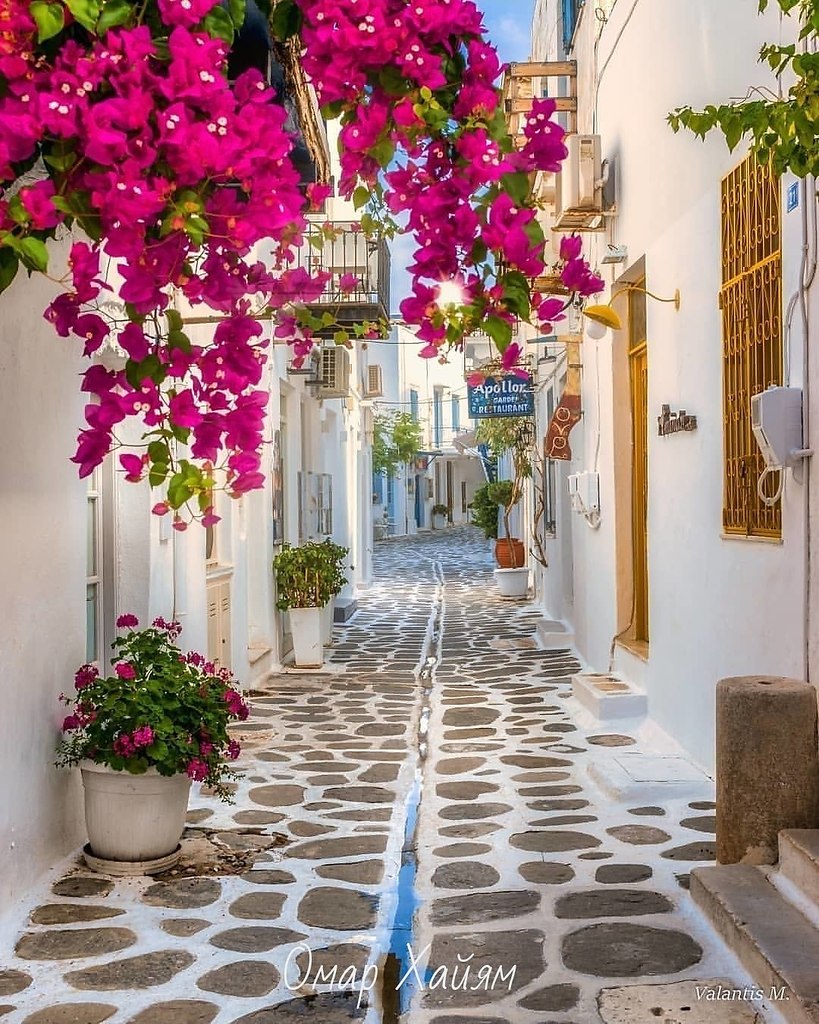    ,  ,   ,       . . ... - 4