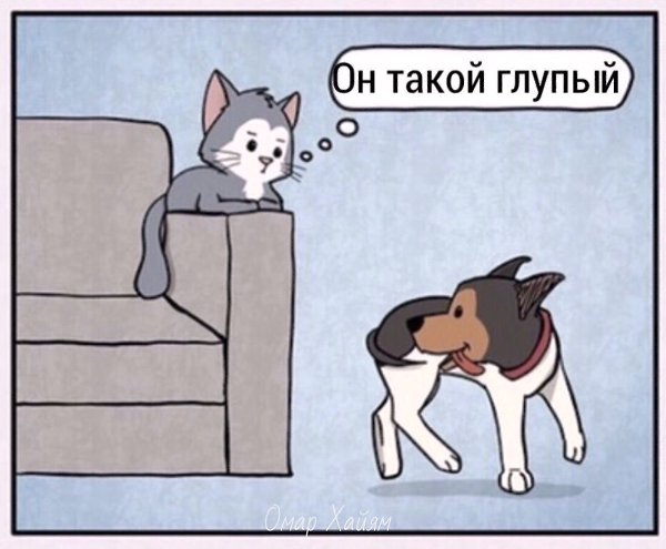 Примерно так женщины выбирают себе мужей - 4