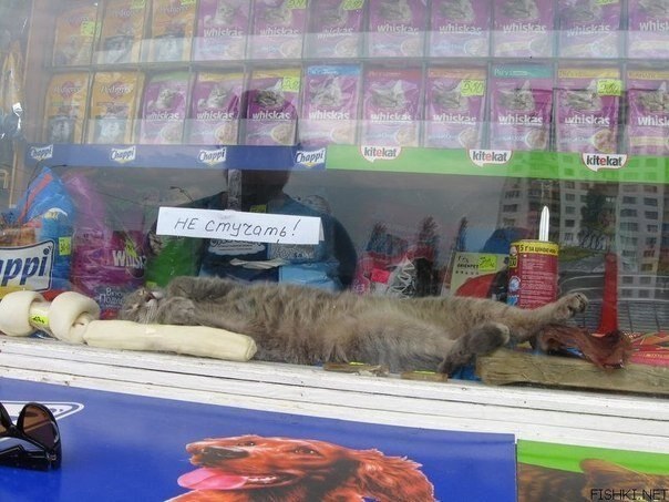 ������� ���� �� ���������