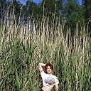 ���� ����, �����-���������, 55 ��� - ��������� 17 �������� 2020 � ������ ���� ����������