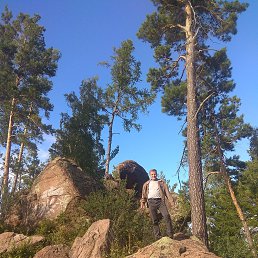 ���� �������, �����������, 64 ���� - ��������� 31 ������� 2020