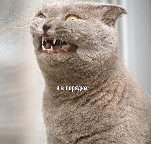 ����� ������ ��� �� ����� �����, �� �� ���������� ��������� ���������� �������