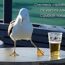 ���� ���� �����������, ������������, 58 ��� - ��������� 24 ������� 2020 � ������ ���������