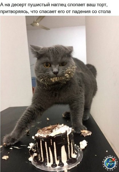 10 p oa e ao oo, o  e e ocaee.)  paa. - 4