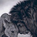  Ahmed,  , 55  -  4  2021    