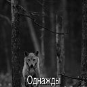 ���� Shaman, ����, 41 ��� - ��������� 8 ������ 2020 � ������ ���� ����������