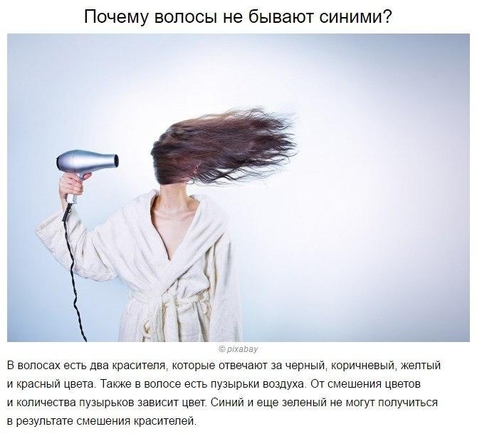 ������ �� ������� ������� ������� �� �����������! - 4