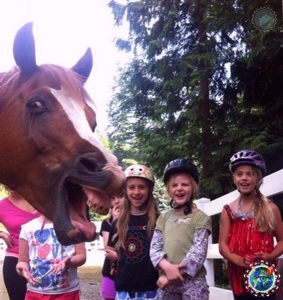 o ca  ap pa).gratplant - 3