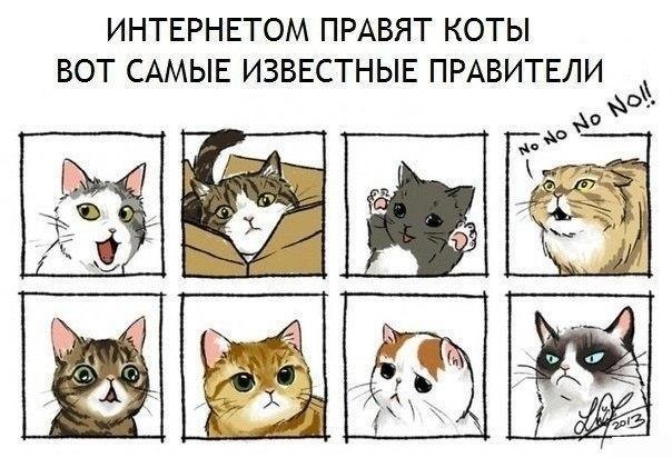    - 23  2020  21:56