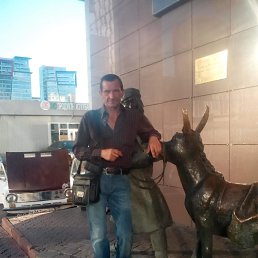 �����, �������, 49 ���