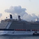 Celebrity reflection -�������. �� ������� ���� ����������