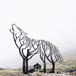 Tig, ������, 40 ���