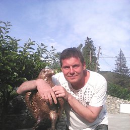 ���� ������, ������-��-����, 41 ��� - ��������� 18 ������ 2020