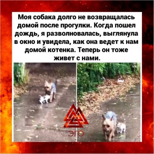  | ,  - 17  2020  18:48