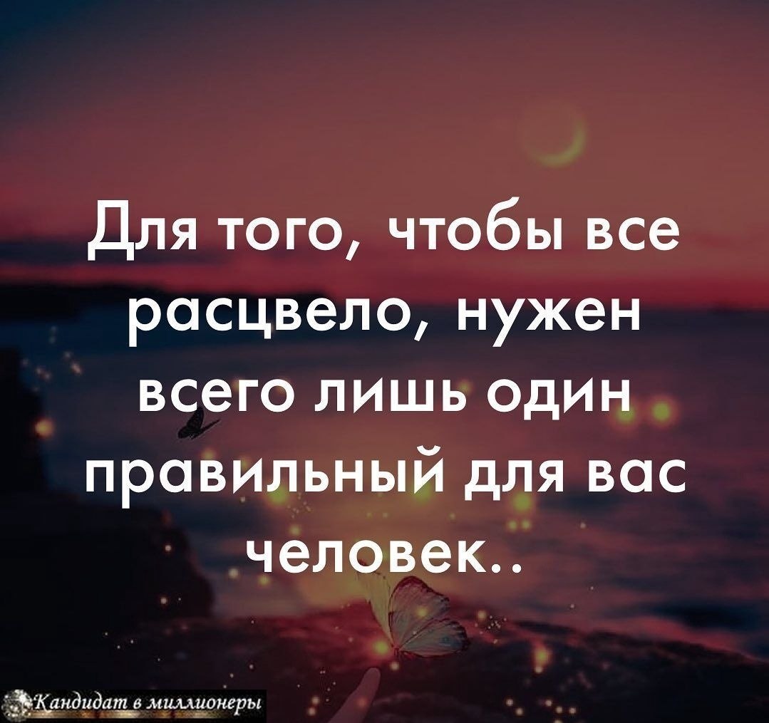 Bce o ����ece � �e �o���o