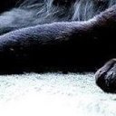 ���� �����, �����-��������� - ��������� 19 ����� 2021