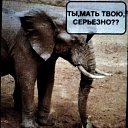���� ����, ���������� - ��������� 20 ������� 2020 � ������ ������ ��������