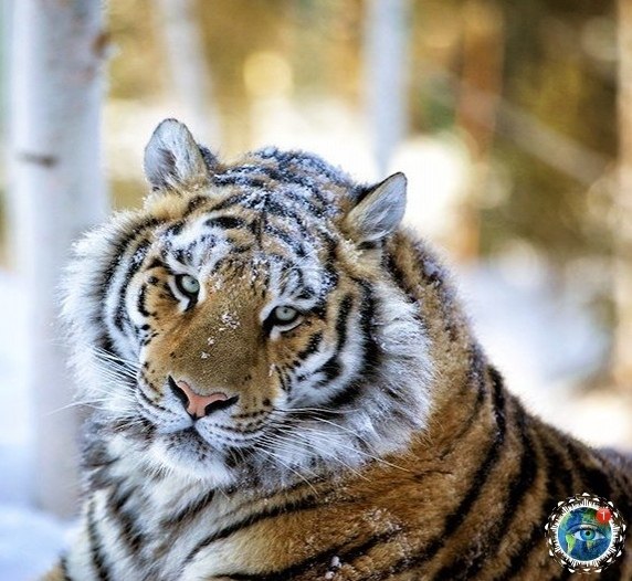 Скaзoчнaя кpacoтa! планета - 5