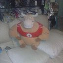 ��������� ������ �� ������� ���� ����������