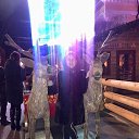 ���� �������, ���������� - ��������� 1 ������� 2021 � ������ ���� ���� ������