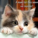 ���� �������, ������, 60 ��� - ��������� 24 ����� 2021